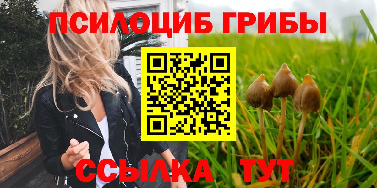 Галлюциногенные грибы Magic Shrooms Хасавюрт